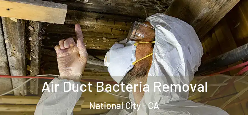  Air Duct Bacteria Removal National City - CA