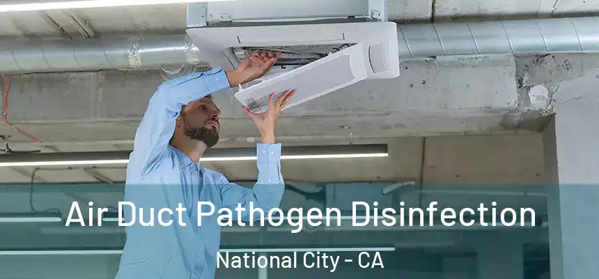 Air Duct Pathogen Disinfection National City - CA