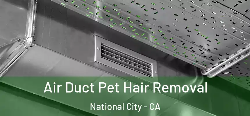  Air Duct Pet Hair Removal National City - CA