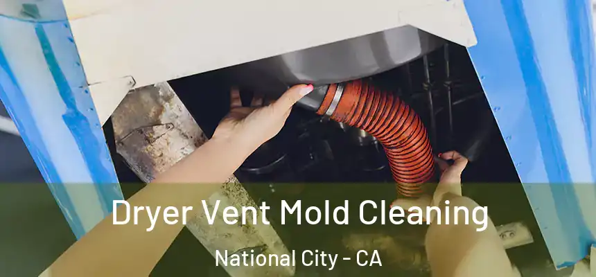  Dryer Vent Mold Cleaning National City - CA