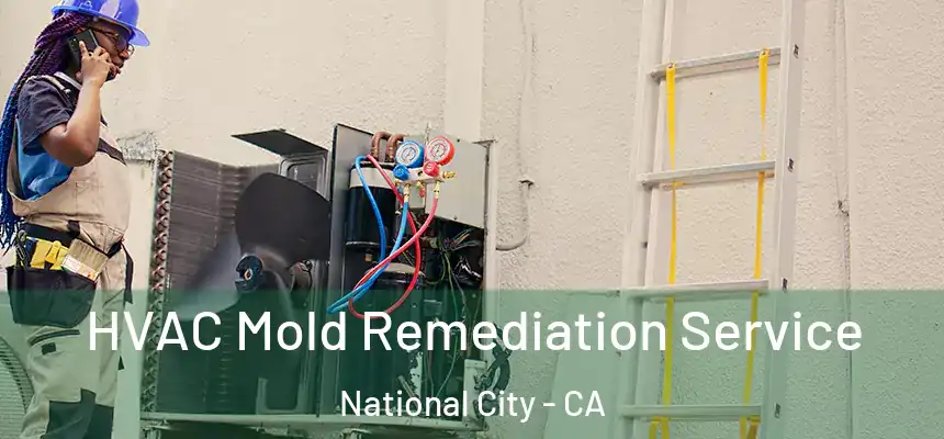  HVAC Mold Remediation Service National City - CA