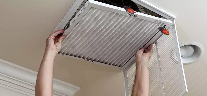 Preventive Cockroach-Proofing for Ducts in National City