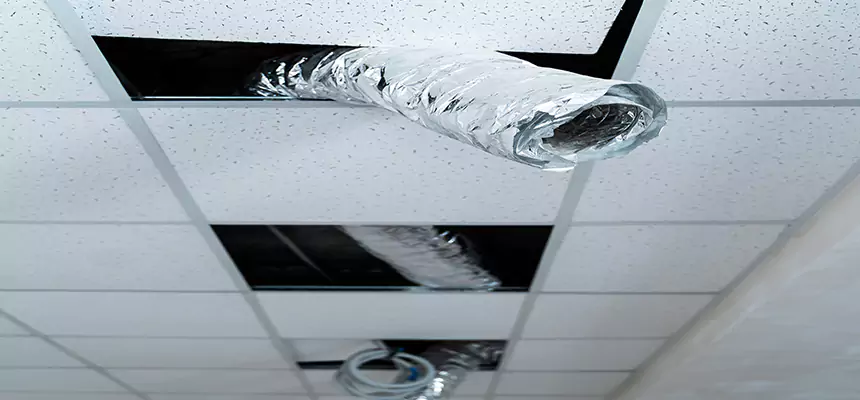 Affordable HVAC Sanitizing After Pest Removal in National City