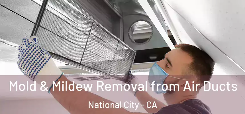  Mold & Mildew Removal from Air Ducts National City - CA