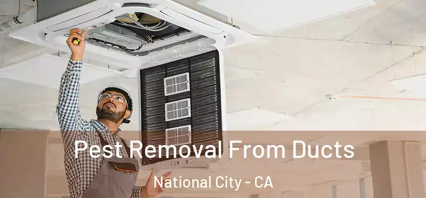  Pest Removal From Ducts National City - CA