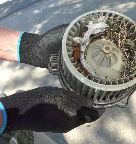 About Air Duct Mice Removal in National City, CA