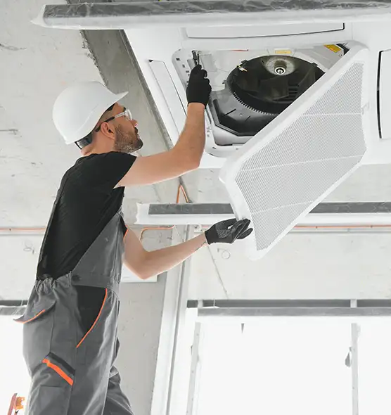 About Air Duct Rodent Removal in National City, CA