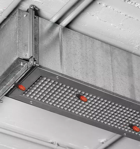 Affordable Insect Removal from Air Ducts in National City, CA