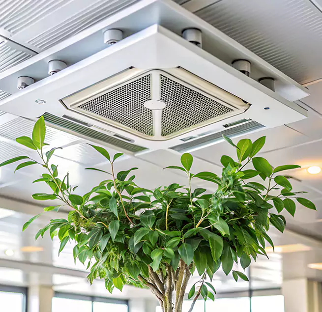 Why Homeowners & Businesses Trust Us in National City, CA?